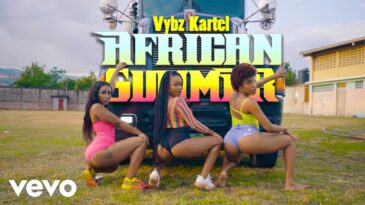 Vybz Kartel African Summer Official Music Video › MIZIKING ›