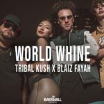 Tribal Kush Blaiz Fayah World Whine Official Music Video › MIZIKING ›