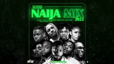 Official Naija Mix 2022 | 2Hrs | Afrobeats | Wizkid | Burna Boy | Fireboy DML | Arya Starr | Rema › MIZIKING ›