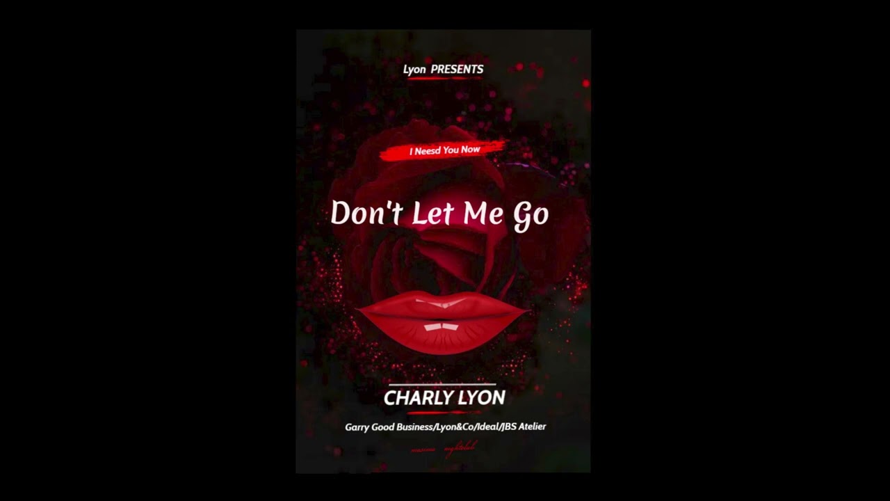 Don’t Let Me Go (Charly Lyon)